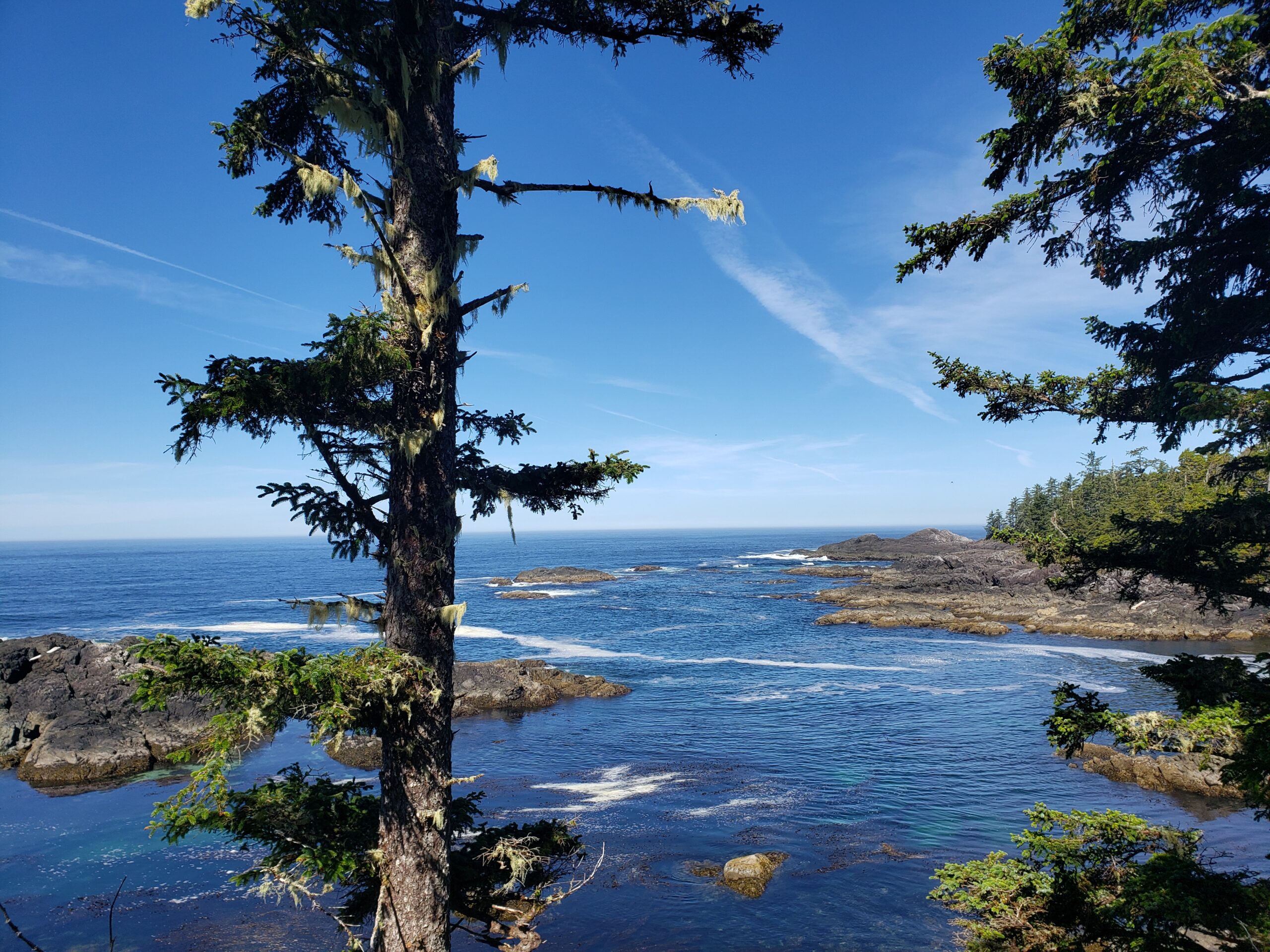 West Coast Wonders: 8-Day British Columbia Explorer 