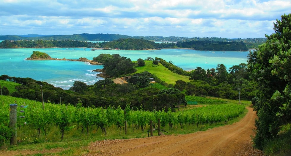 Waiheke Island: Wine, Art, and Coastal Thrills