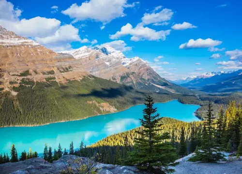 Nature Lovers Rejoice: Scenic Wonders in Australia, Canada & the US 