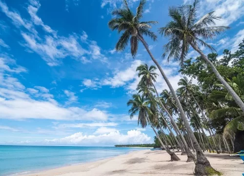 Australia’s Best Beaches: Sun, Surf & Coastal Bliss 