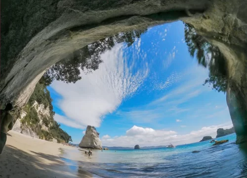 20 Epic Things to Do in New Zealand for Nature Lovers  