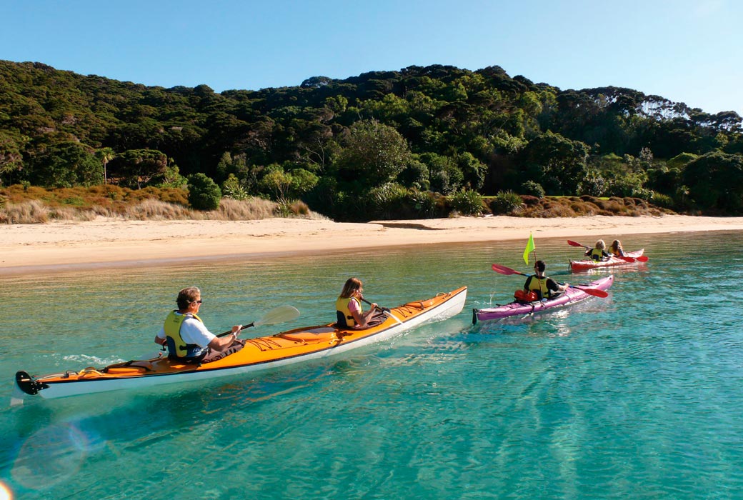 New Zealand's North Island Adventure 